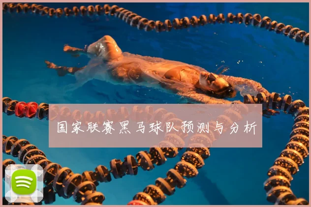 国家联赛黑马球队预测与分析