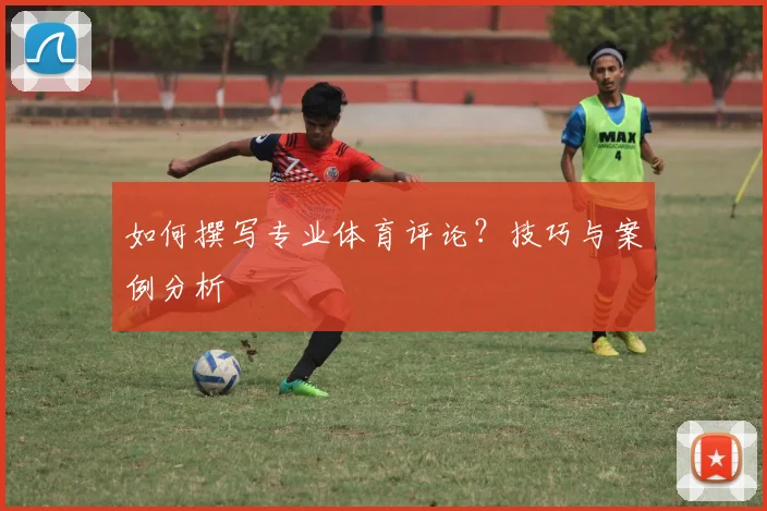如何撰写专业体育评论？技巧与案例分析